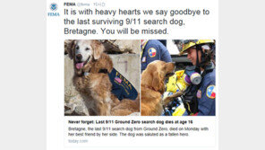 美 소방대원들, ‘마지막 경례’로 9·11 최후 구조견 배웅 