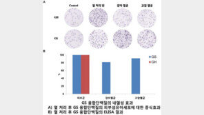 넥스젠바이오텍, 내열성 성장호르몬 개발 성공…화장품 신소재 특허 출원
