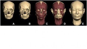 1500년 前 신라 여성 얼굴 첫 복원…“지금보다 작고 갸름”