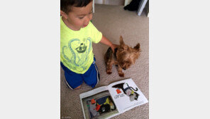 무서움에 떠는개 '책을 읽어주세요'