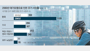 “한국 이대로 가면… 2060년 대기오염 사망률 OECD 1위”
