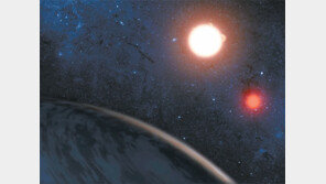 [책의 향기]종말 맞을까, 외계로 나갈까? 외로운 별 지구의 생명체는…