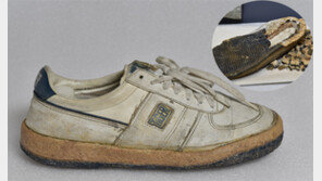 [책의 향기]운동화와 함께 되살린 6월, 그날의 기억