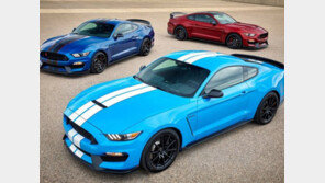 포드, 고성능 쉘비 GT.. 오직 ‘렌터카 전용 모델’로 이용