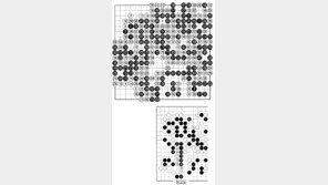 [바둑]제49기 아마국수전… 가혹한 운명