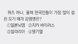 뎅기열, 말라리아… 여름휴가 복병 ‘모기와의 전쟁’