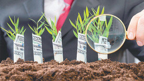 [DBR]골드러시시대 청바지처럼… 틈새를 노려라 