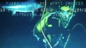 사람을 공격한 황새치 ‘포착’