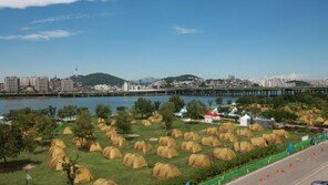 서울시, ‘한강여름캠핑장’ 사전 예약 15일 오픈