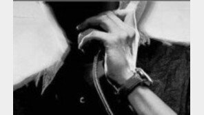 전세대출 올해만 3조5천억…“정부지원 저금리 대출 해주겠다” 보이스피싱 주의