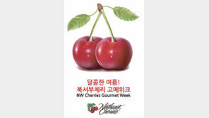 [골든걸/Food Event]미국북서부체리협회 고메위크&포토 공모전 진행