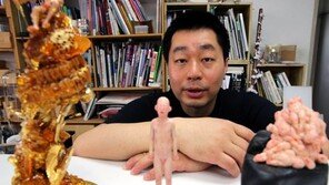 색깔있는 돌 잔치…이동욱 설치전 ‘모두 다 흥미로운’