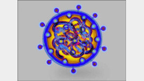 [Health&Beauty]경구용 C형 간염 치료제, 부작용 줄고 완치율 높아