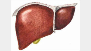 [Health&Beauty]간 건강 위한 성분, 간의 노폐물 배출 작용 따져봐야