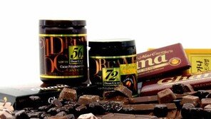 [Food&Dining3.0]초콜릿, 적당량 섭취하면 기억력-건강에 도움 