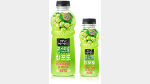 [식음료 정보]코카-콜라사, ‘미닛메이드 홈스타일’ 청포도 출시 外