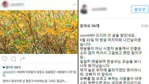 장수원 여자친구, SNS 글 줄삭제…팬들 “장수원 위하면 가만히 있어라” 발끈