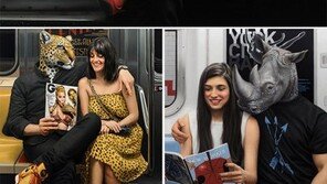 지하철 남자들을 동물로 표현하면?