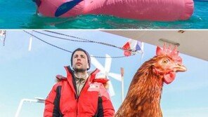 운명적인 만남? 닭과 세계여행 하는 남자