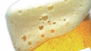 [시원한 여름, 맥주]시원한 유혹, 즐거운 축제…맛있는 맥주, 문화가 되다