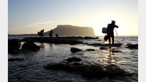 여름휴가 고민? 제주 요트여행 어때?