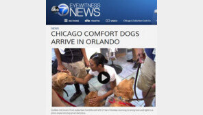 올랜도 나이트클럽 참사에 치료견 12마리 급파