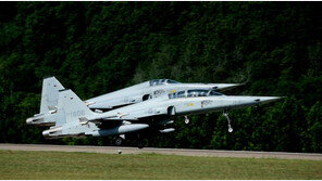 공군 F-5E 전투기, 연료통 투하후 비상착륙…새 때문? “조류 충돌로 엔진 고장”