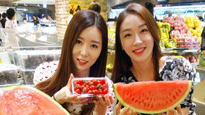 여름 보양식의 제왕은 ‘삼계탕’