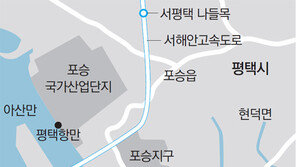 평택에 ‘中친화도시’ 본격 추진