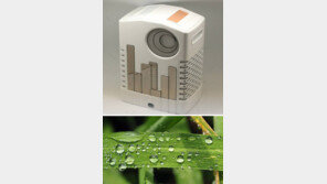 골치아픈 장마철 곰팡이-도로 위 안개… 벼 잎-이끼로 잡는다