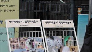 주말에 유기견 새가족으로 맞아들이세요!