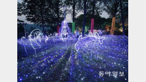 [Feeling]춘천 호반에 별이 내려앉았다