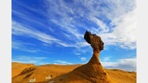 [여행, 나를 찾아서]핫한 여행지 대만… “아하, 이래서 대만여행이구나”