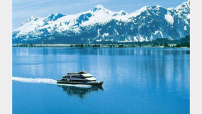 [여행, 나를 찾아서]자연의 위대함을 느끼다 알래스카 크루즈 