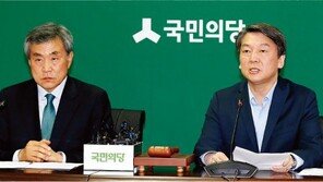 최초 부녀 비례대표 김수민의 힘