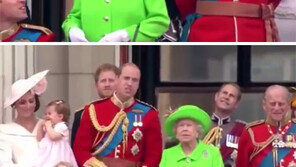 “일어나, 윌리엄!”…90세 할머니 생신날 앉아있다 혼난 英왕세손