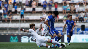 김태환 결승골…울산,수원FC 잡고 4위 점프