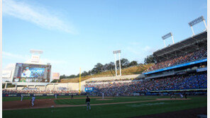 대구 찜통 더위 식히는 ‘덕아웃 미스트’