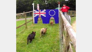 “탈퇴 현실화땐 일자리 50만개 사라져”