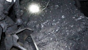 OECD 회원국 석탄 소비량, 5년 간 12% 이상 감소했는데…한국은 11% 증가