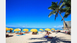 여름 휴가철 해외로 해외로~