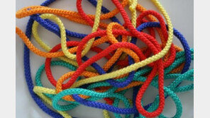 우리 강아지에게 맞는 장난감 고르기