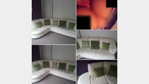 중고소파 판매 게시물에 노출 사진 올린 女, 해명 들어보니…