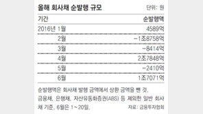 금리인하 바람 타고… 회사채 시장 “돈 풍년이오” 