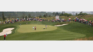 KLPGA 인터내셔널 QT, LPGA 125위 이내 면제