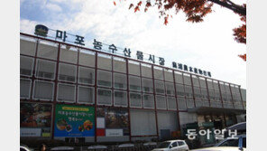 이번엔 마포농수산시장 운영권 갈등