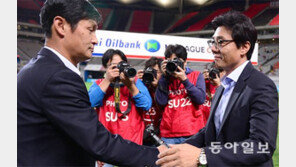 독수리 떠난 둥지, 황새가 날아들다