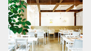 맛집 탐험가 김지영의 테이스티 맵_쌜모네 키친~오로라 연어의 신비로운 맛