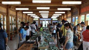 [제4회 한국축제박람회]강진청자축제, 흙·불 그리고 사람, 어우러져 예술이 되다 