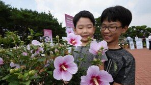 [제4회 한국축제박람회]나라꽃무궁화전국축제,  즐겨요! 무궁화 꽃, 느껴요! 나라사랑 